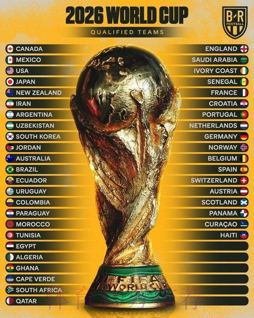 2026世界杯投注规则全解析：揭示赔率的奥秘