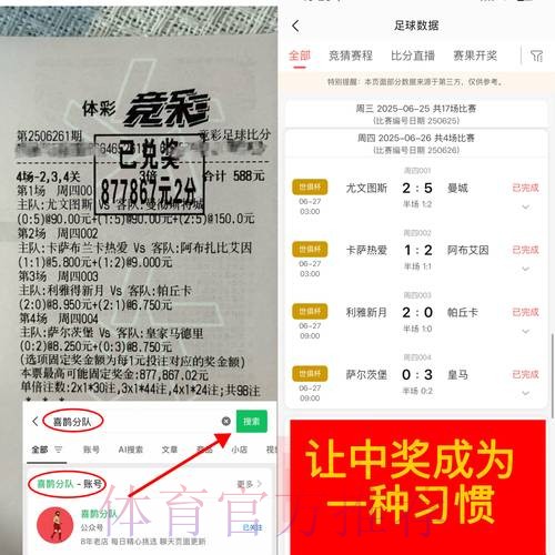 世界杯下注平台评测与选购指南